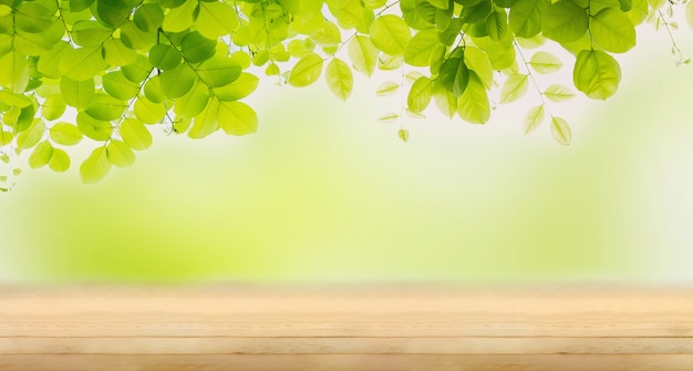 Frescura de hoja verde sobre la mesa de madera vacía