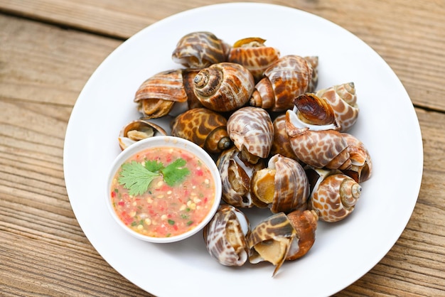 Fresh Spotted babylon Sea shell limpet ocean gourmet mariscos en el restaurante Babylonia areolata mariscos mariscos en un plato blanco con salsa de mariscos en el fondo de la mesa