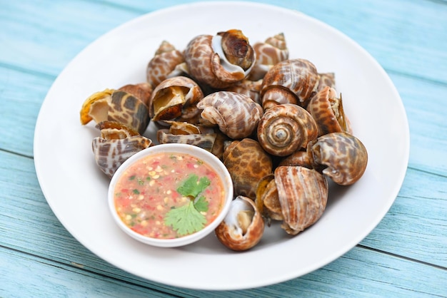 Fresh spotted babylonia sea shell lapa oceano gourmet frutos do mar no restaurante babylonia areolata marisco marisco na chapa branca com molho de frutos do mar no fundo da mesa