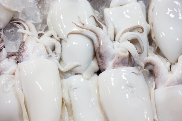 Fresh squid in market