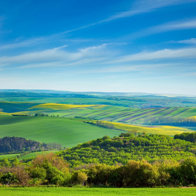 Fresl Paisaje de campos en campo