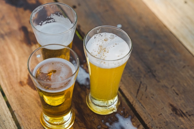 Freunde, die beim Camping im Freien eine Flasche Bier klirren