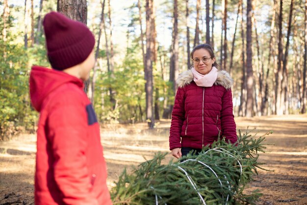 Freunde, die Weihnachtsbaum im Wald halten