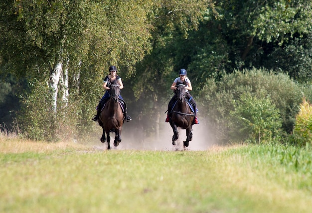 Freunde reiten im Park