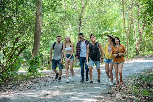 Freunde spazieren in sonnigen Frühlingswäldern, reden und lachen, alle sind aufgeregt und Dschungelpfade