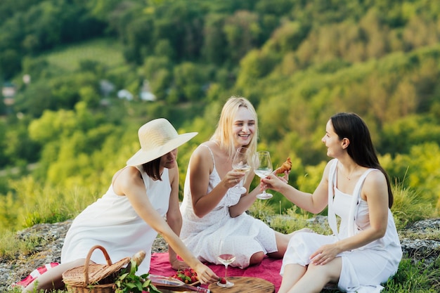 Freundinnen haben Spaß beim gemeinsamen Sommerpicknick