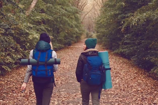 Freundinreisender mit Rucksäcken ging im Wald wandern.