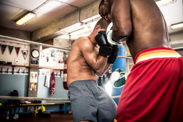 Freundliches Boxsparring