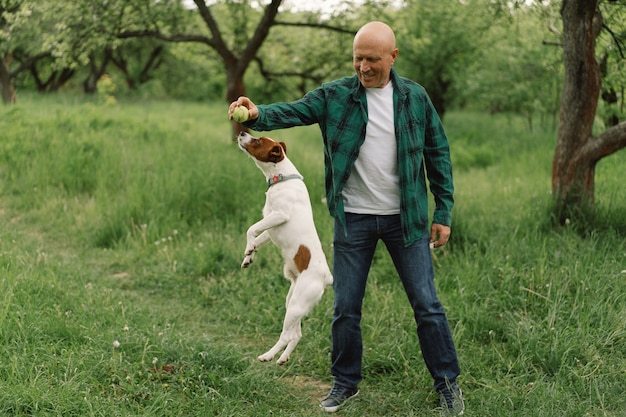 Freundschaft zwischen Mensch und Hund. Mann spielt Jack Russell Terrier Hunde auf der Wiese.