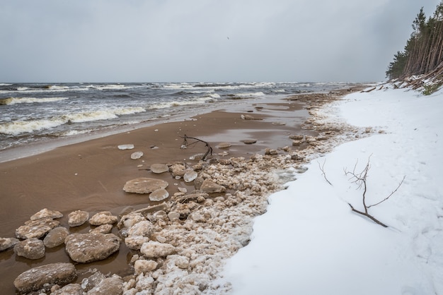 La fría playa del Mar Báltico en invierno está nevada y hay grandes olas en el mar, en Saulkrasti en Letonia