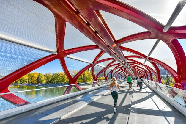 Friedensbrücke mit Bow River und einem Teil der Innenstadt von Calgary in Kanada