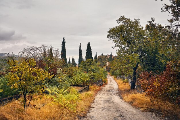 Friedhof in Signagi im Herbst