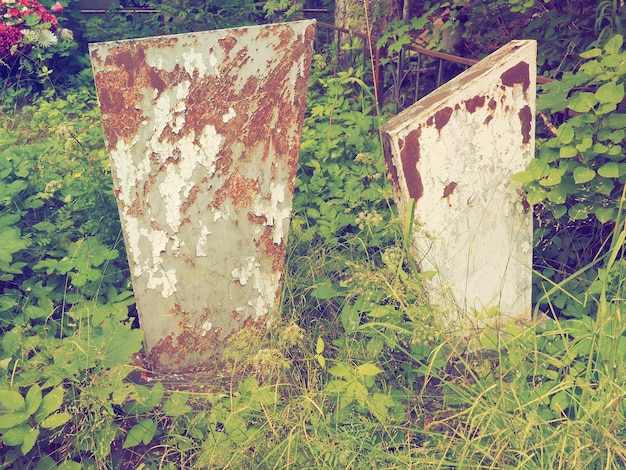 Friedhof mit Steindenkmälern Alter verlassener Friedhof am Nachmittag im Sommer Grasdickicht Alte Granitdenkmäler auf den Gräbern Menschengräber Das Thema Vergessen beruhigen Tod und Halloween