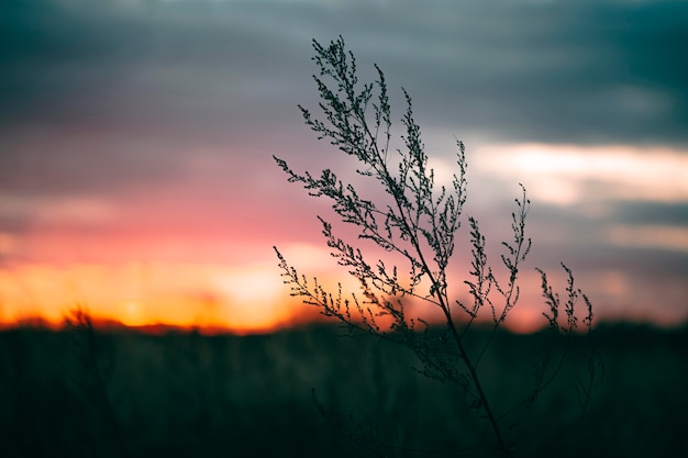 Foto friedliche ansicht des sonnenaufgangslichts