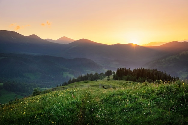 Friedliche Landschaft der wilden Natur während des Sonnenuntergangs im Sommer