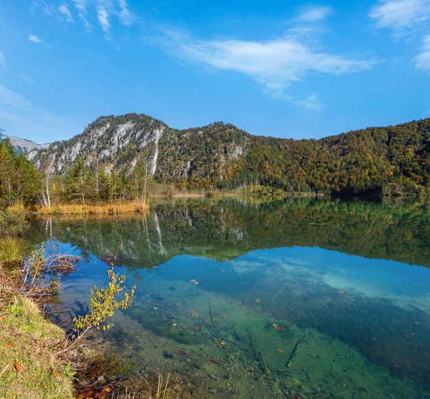 Friedlicher Herbst Alpenbergsee mit klarem, durchsichtigem Wasser und Spiegelungen Almsee Oberösterreich