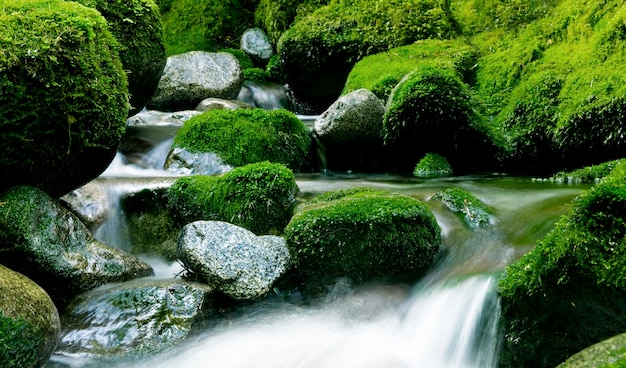 Friedlicher Naturstrom, Neuseeland.