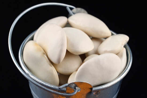 Frijoles blancos en cubos