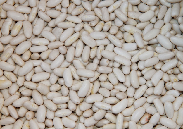 Foto frijoles blancos en el mercado