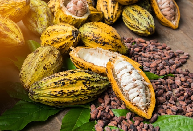 Frijoles de cacao y vainas de cacao en una superficie de madera