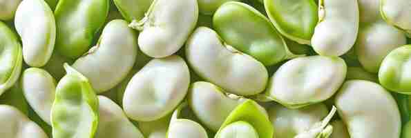 Foto frijoles en el campo fresco de primavera frijoles de fava con tics blancos y verdes en el fondo de la dieta