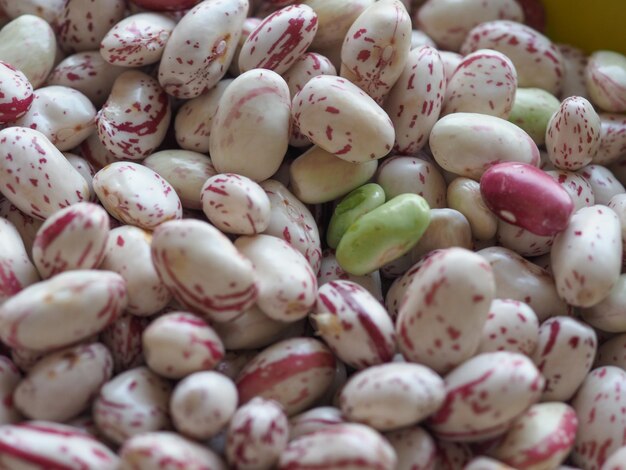 Frijoles carmesí legumbres verduras