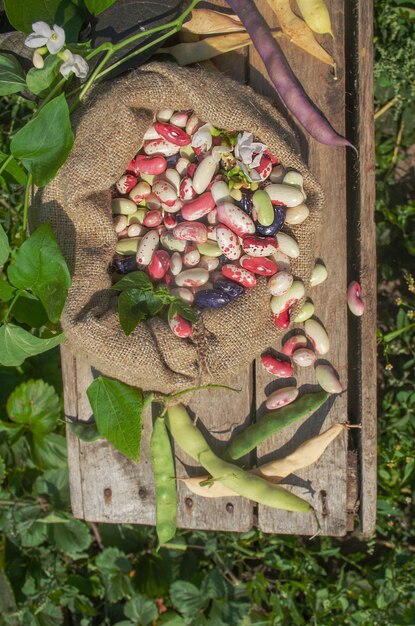 Frijoles de mantequilla o habas en bolsa de arpillera Vista superior de frijoles en saco