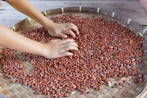 Frijoles rojos