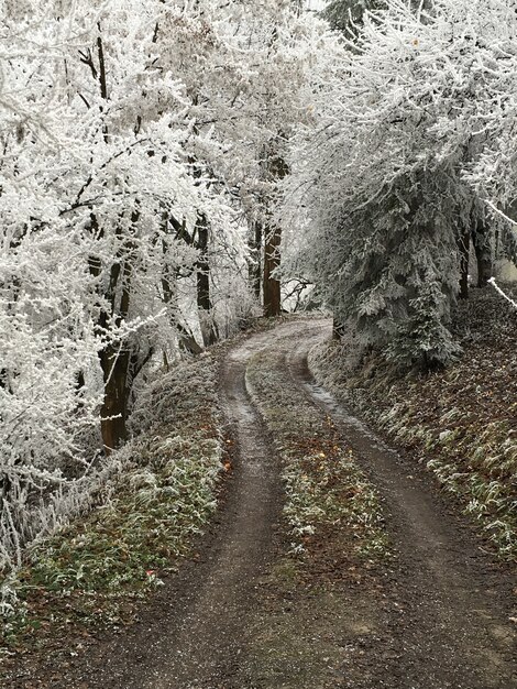 Frío de invierno