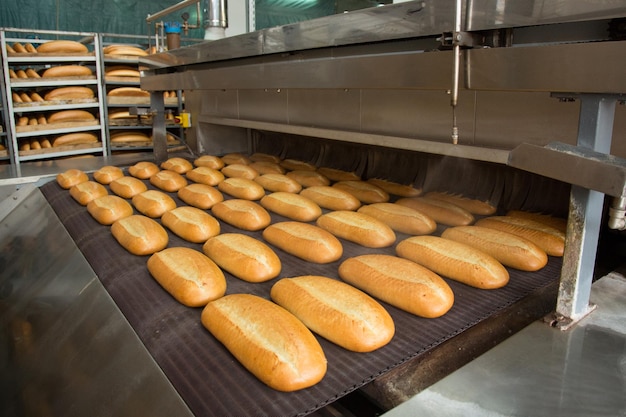 Frisch gebackene Brotlaibe auf der Produktionslinie