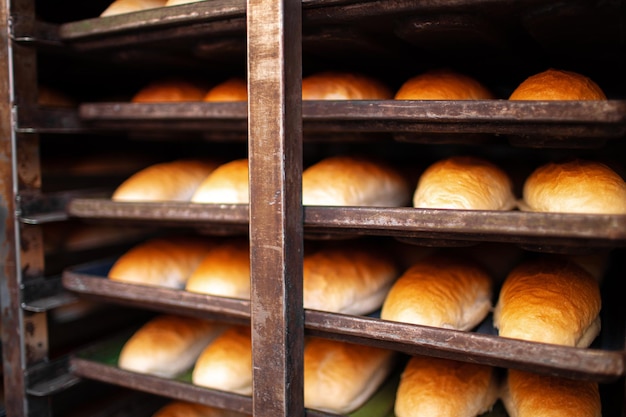 Frisch gebackene Brotlaibe auf einem Regal