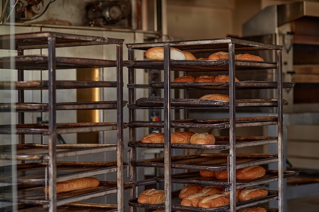 Frisch gebackenes Brot in den Verkaufsregalen Foto in hoher Qualität