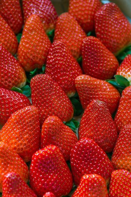 Frisch geerntete Erdbeeren in einem Geschäft