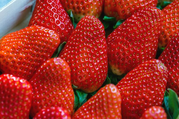 Frisch geerntete Erdbeeren