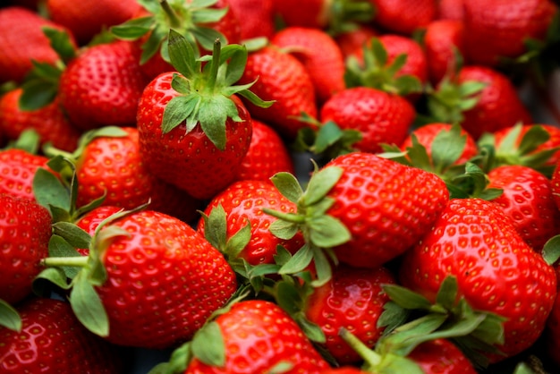 Foto frisch geerntete erdbeeren