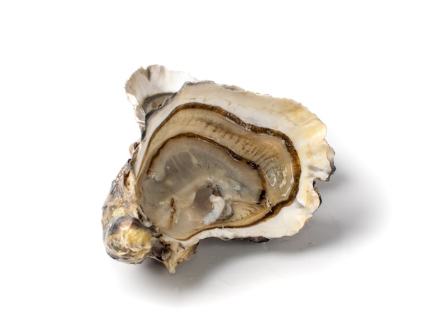 Frisch geöffnete Auster halb isoliert Draufsicht