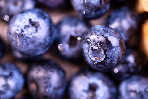 Frisch gepflückte Blaubeeren als Hintergrund-Blaubeeren-Nahaufnahme