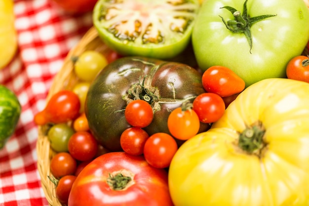 Frisch gepflückte Erbstücktomaten von der Hinterhoffarm.