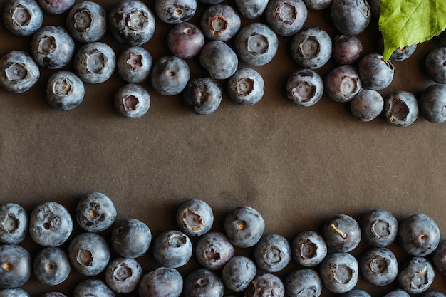 Frisch gepflückte Heidelbeeren Reife und saftig frisch gepflückte Heidelbeeren hautnah