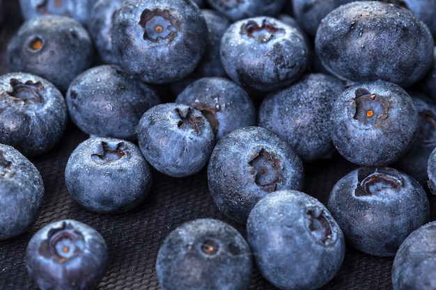 Frisch gepflückte Heidelbeeren