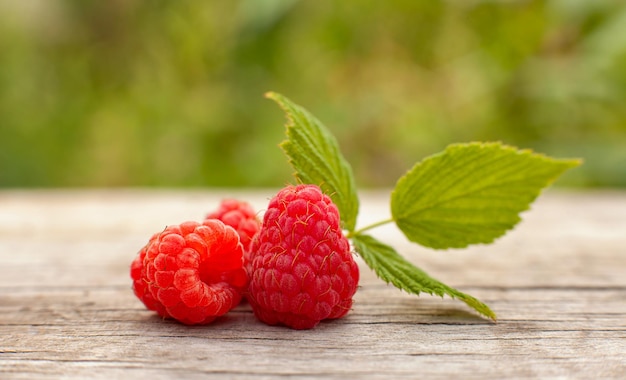 Frisch gepflückte Himbeeren auf einem Holztisch mit verschwommenem Sommerhintergrund dahinter