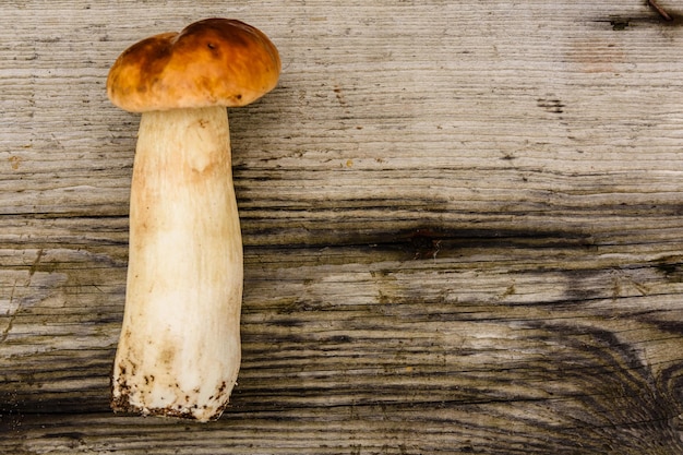 Frisch gepflückter Steinpilz auf einem rustikalen Holztisch. Ansicht von oben