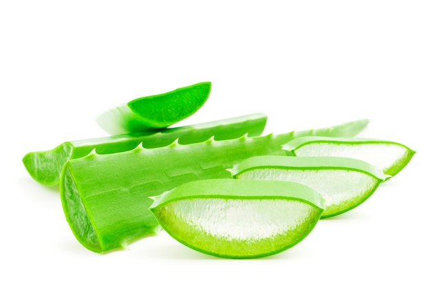 Frisch geschnittene Blätter der Aloe Vera