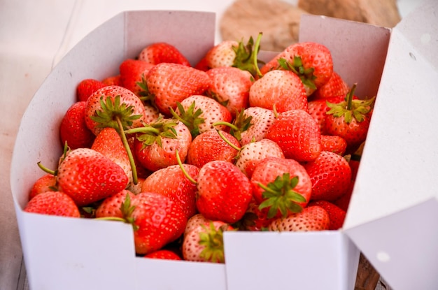 Foto frisch von vielen erdbeeren auf dem markt