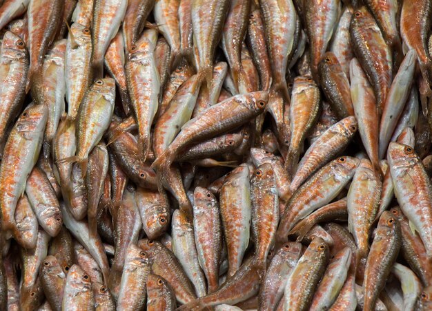 Frisch zum Verkauf auf dem Fischmarkt