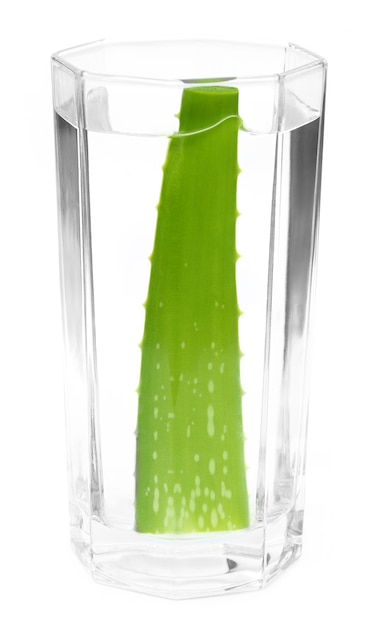 Frische Aloe Vera in einem Glas Wasser