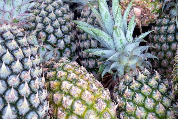 Frische Ananas auf dem traditionellen Markt in Yogyakarta Indonesien