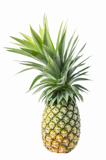 Foto frische ananas isoliert auf weißem hintergrund