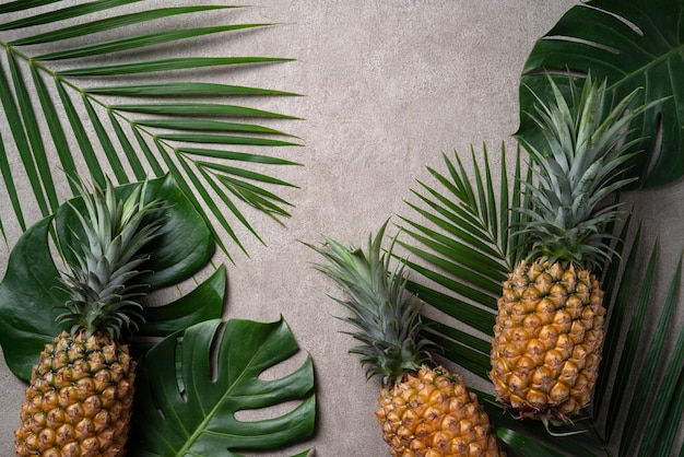 Frische Ananas mit tropischen Blättern auf grauem Hintergrund