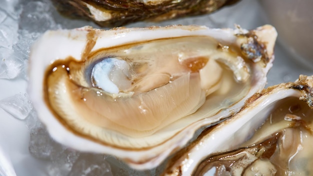 Frische Austern auf Eis mit Zitrone close up Shallow dof